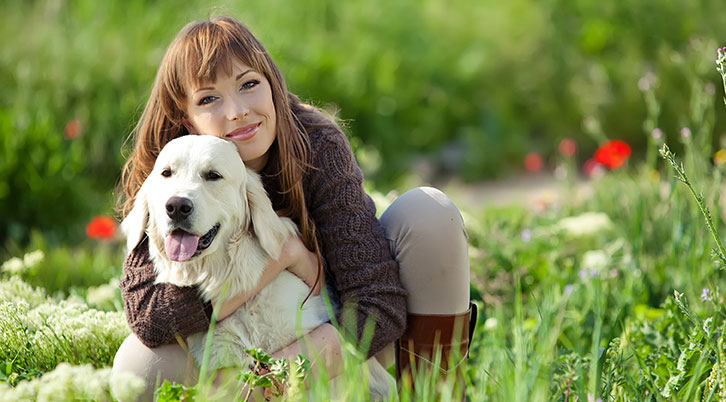 Pet Insurance For A Pet With A Pre Existing Condition