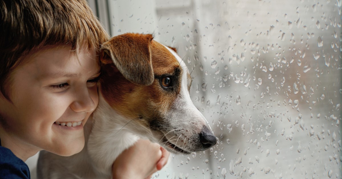 21 Fun Ways To Keep Your Dog Busy Indoors on a Rainy Day - Puppy In Training